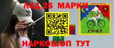 шишки Славгород